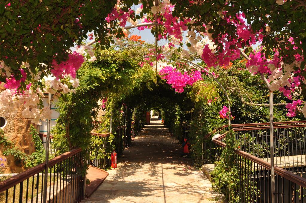 Siesta Beach Apartment Bodrum ภายนอก รูปภาพ