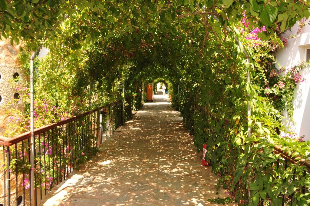 Siesta Beach Apartment Bodrum ภายนอก รูปภาพ