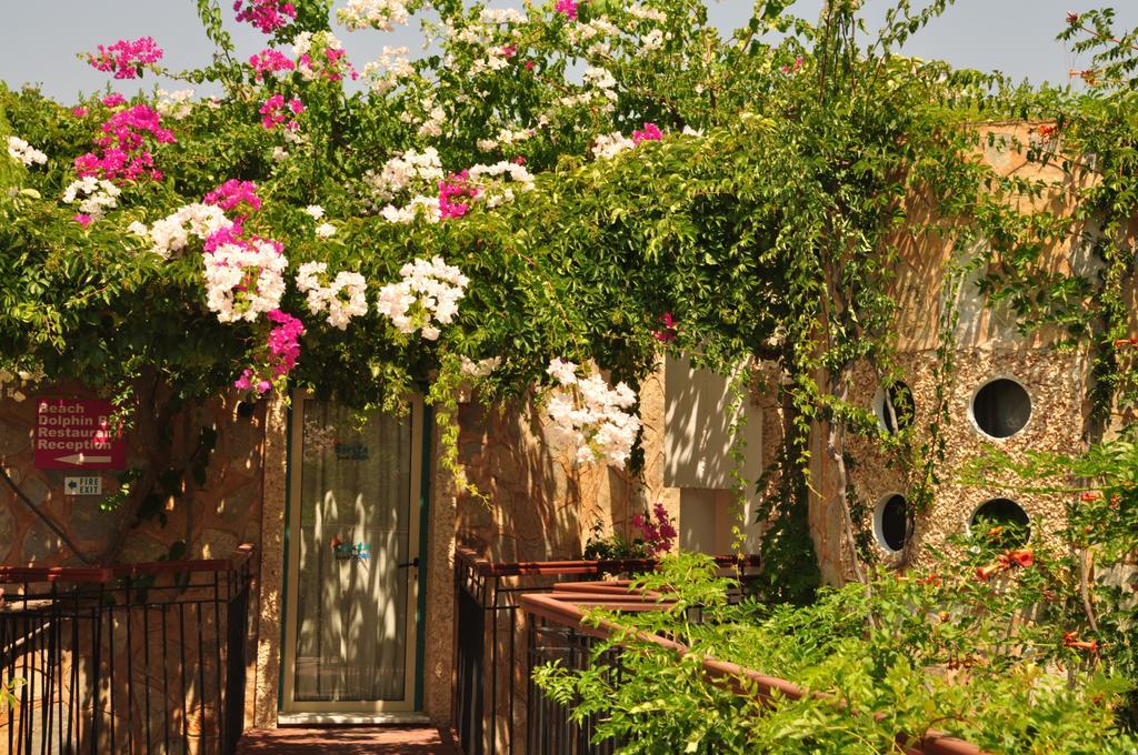 Siesta Beach Apartment Bodrum ภายนอก รูปภาพ