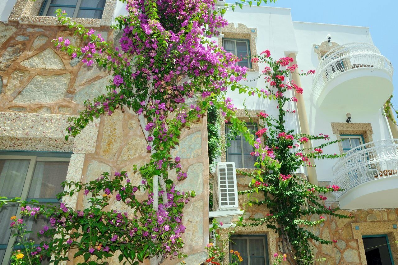 Siesta Beach Apartment Bodrum ภายนอก รูปภาพ